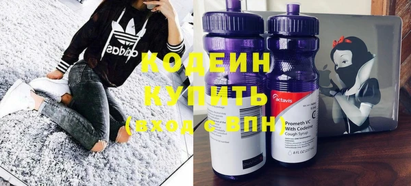 амф Корсаков