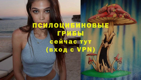 хмурый Алексеевка