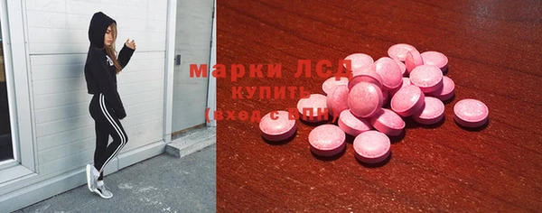 гидропоника Алексин
