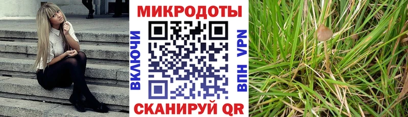 наркота  Биробиджан  Галлюциногенные грибы мухоморы 